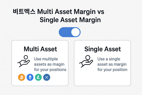 비트멕스 Multi Asset Margin | 비트멕스 멀티 에셋과 싱글 에셋 마진 모드 차이 비교 인포그래픽