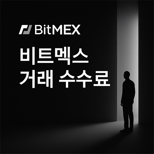 비트멕스 거래 수수료 안내 이미지 - 어두운 배경과 실루엣, BitMEX 로고 포함