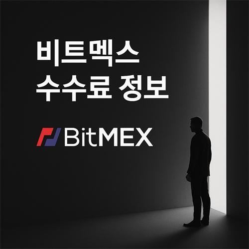 비트멕스 수수료 정보 안내 이미지 - 어두운 배경과 BitMEX 로고, 실루엣 연출