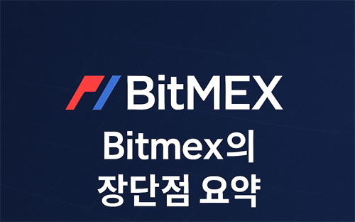 Bitmex의 장단점을 요약한 인포그래픽 이미지