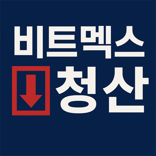 “비트멕스 청산”이라는 문구와 붉은 하락 화살표가 있는 그래픽 이미지로, 비트멕스 트레이딩 청산의 긴장감 있는 분위기를 표현한 디자인.